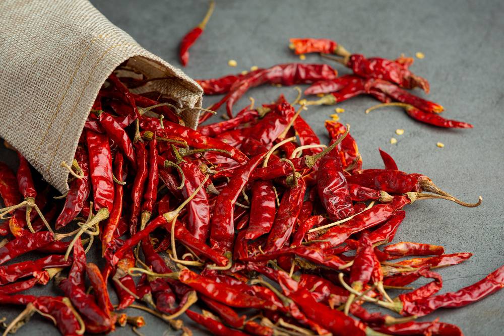 Guntur Red Chilli