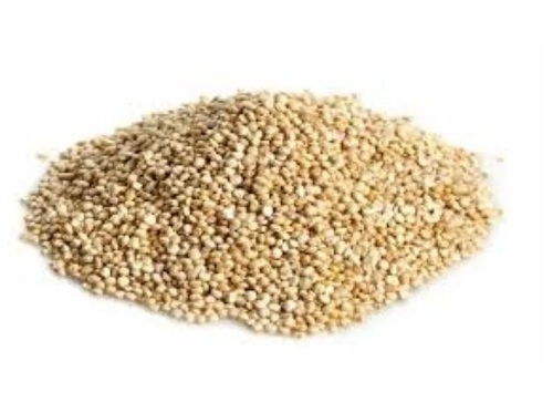 Organic Quinoa Seed
