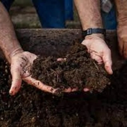 Slow Release Organic Fertilizer