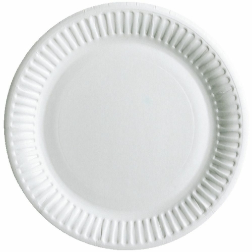 White Plain Paper Plate