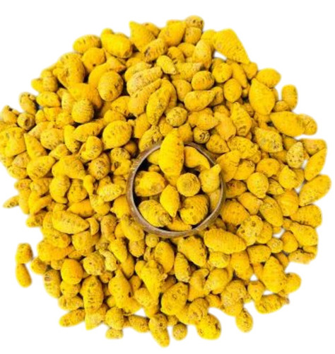 Dried Turmeric Bulb Ghatta