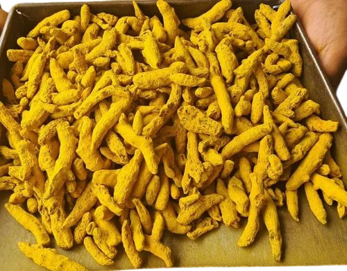 Dried Turmeric Finger