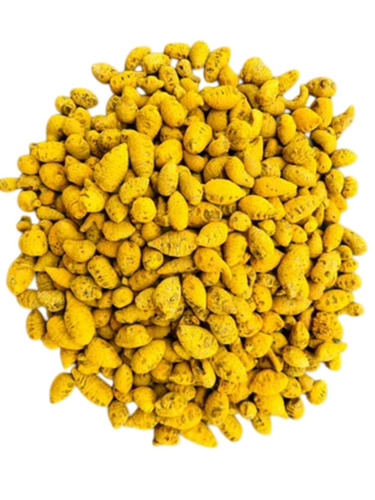 Erode Turmeric Bulb