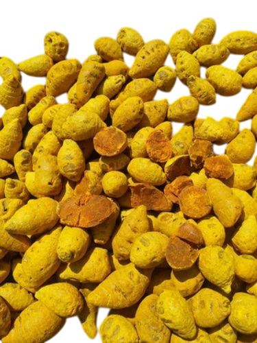 Yellow Turmeric Bulb Ghatta