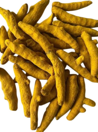 Yellow Turmeric Finger