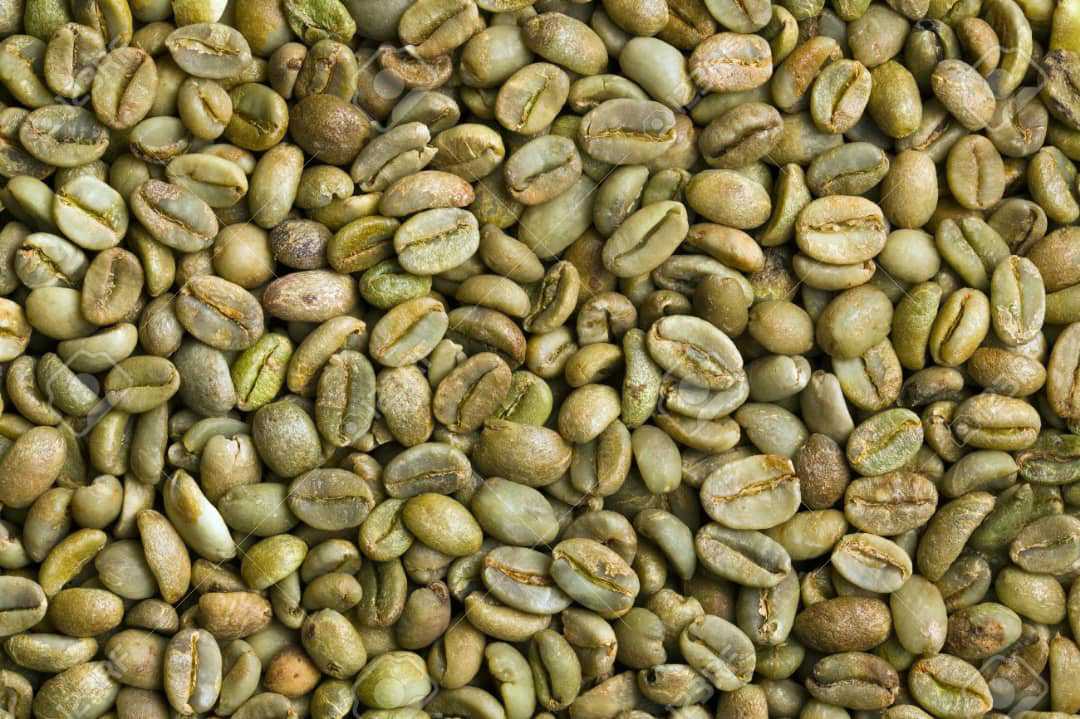 Green Coffee Beans - Shelf Life: 10 Years