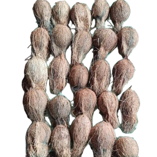 Semi Husk Coconut