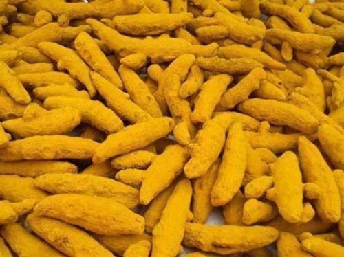 Double Polished Turmeric Finger