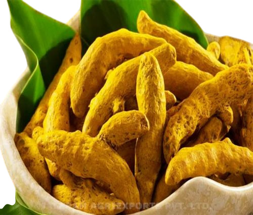 Dried Turmeric Finger