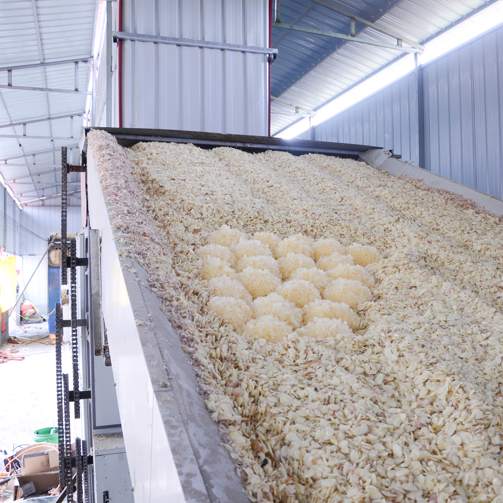 Onion Ginger Garlic Dryer Garlic Slicing and Drying Processing Line Onion Drying and Processing Equipment