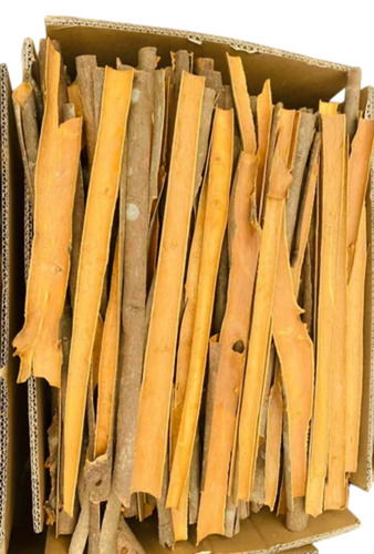 Split Cassia