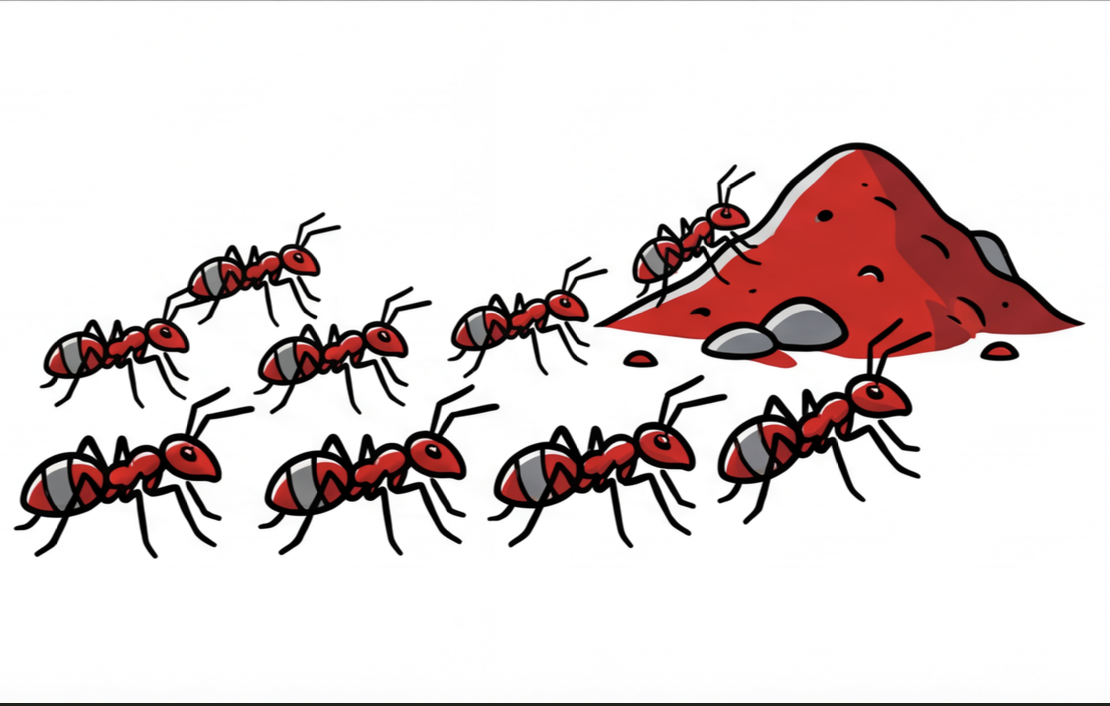 Ant Control Treatment Services