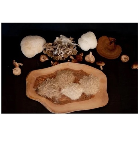 Chaga Mushroom Powder