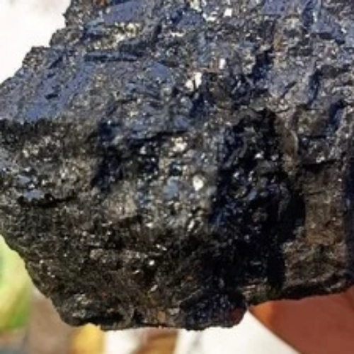 Bhaora Coal 6500 Gcv