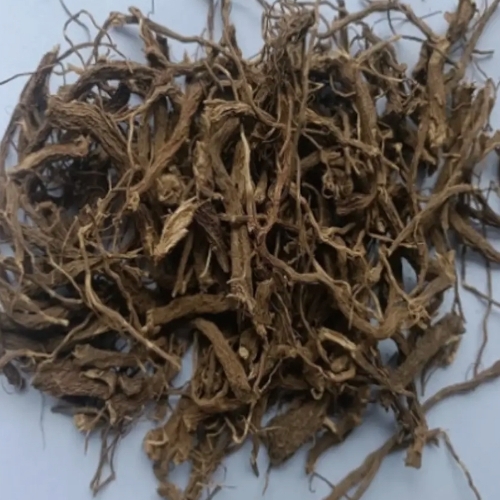 Coleus Forskholli Dry Roots