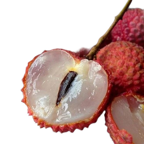 Frozen Litchi Slices