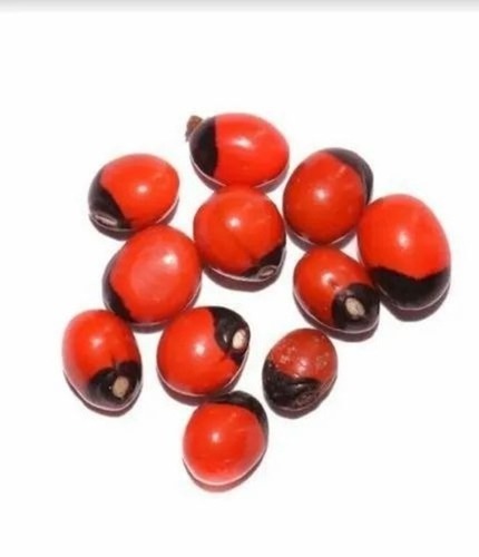 Abrus Precatorius Seeds