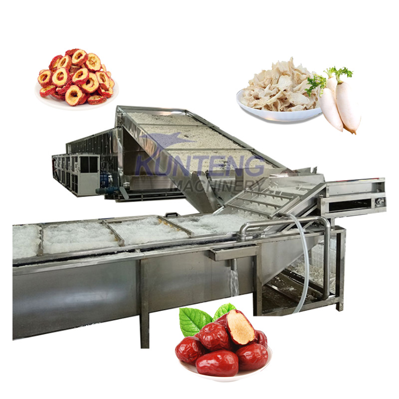 Fruit And Vegetable Cleaning Slicing Drying Production Line Ginger Date Palm Yam Chili Carrot Mango Lemon Slice Slicing And Drying Production Line - Capacity: 50-1000 Kg/Hr