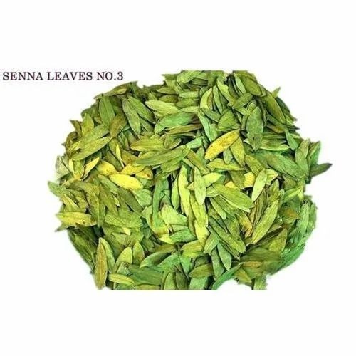 Green Senna Leaves