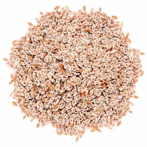 Isabgol Seed Psyllium Seeds