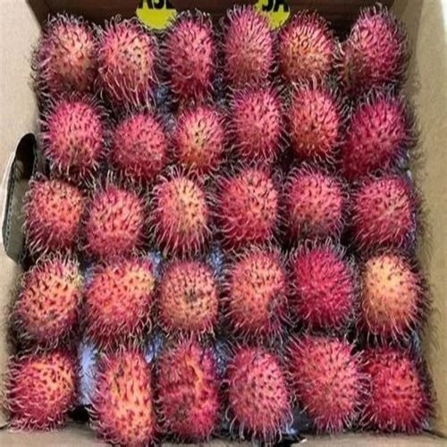 Fresh Rambutan
