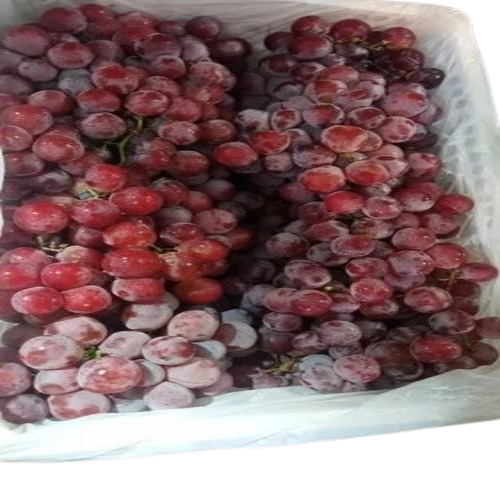 Fresh Table Grapes