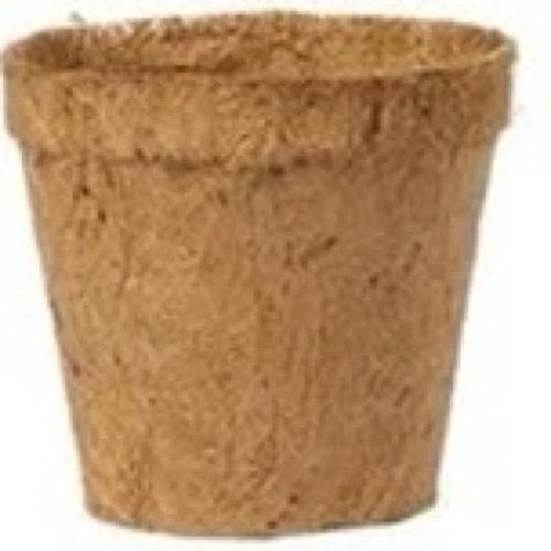 Coconut Coir Pot