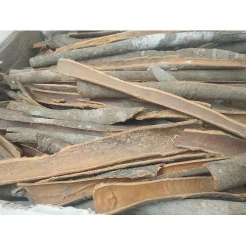 Dried Cinnamon Stick