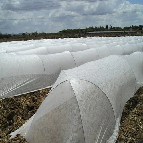 Non Woven Fabric For Agriculture - Color: White