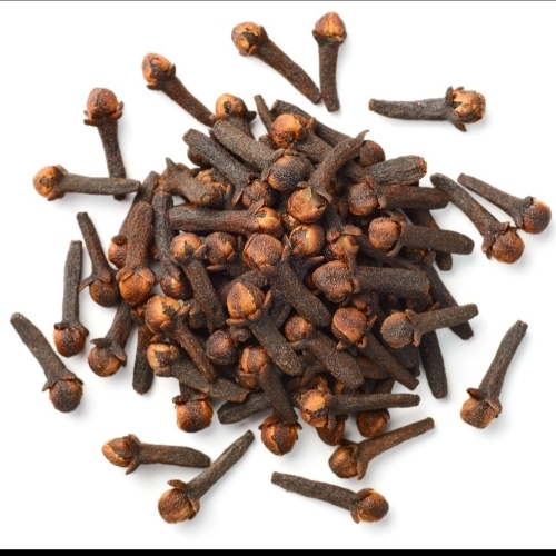 Brown Clove