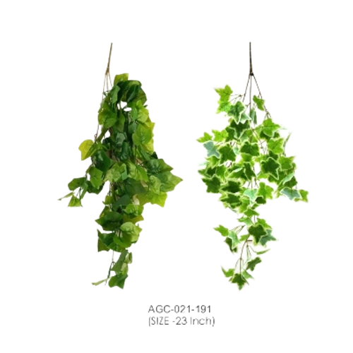 Decorative Hanging Plants