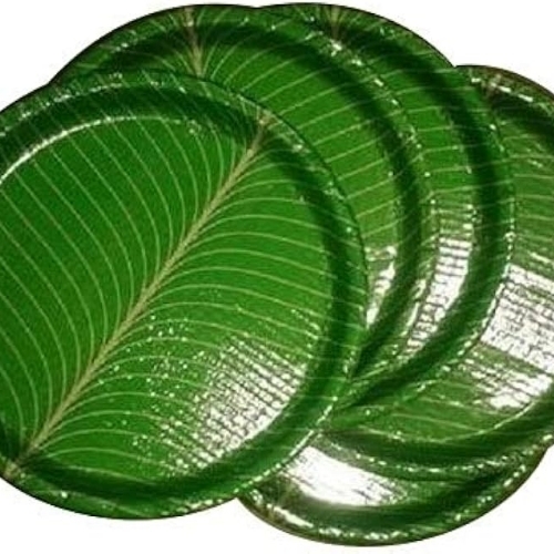 Paper plate