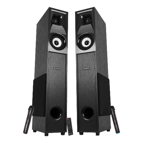 Zebronics Hammer Dual Tower Speaker 