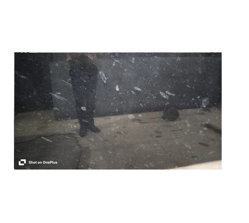 Granite Stone Pearl Black