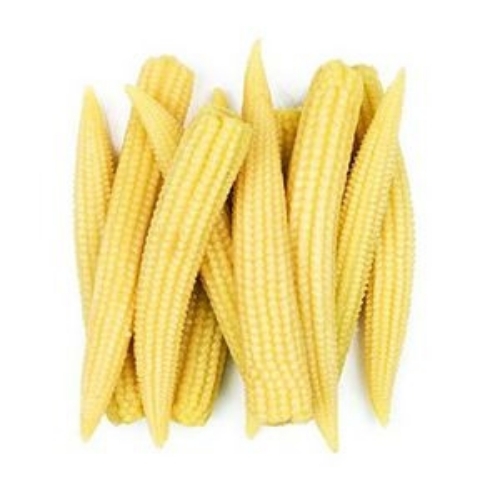 Maize