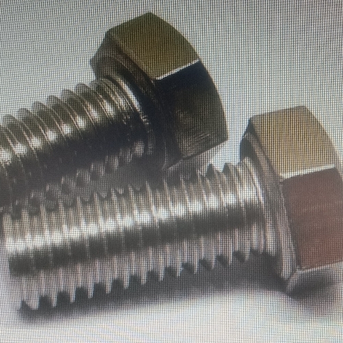 Stainless Steel Hex Bolt