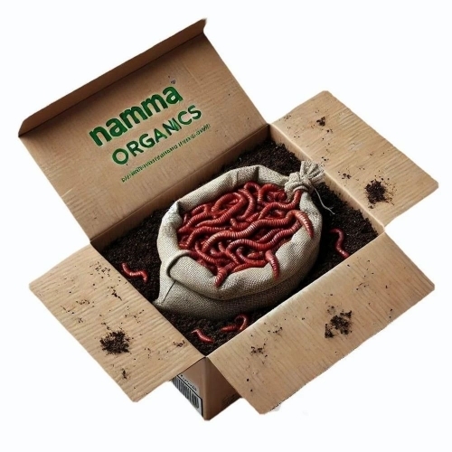 African Live Earthworms - Application: Agriculture