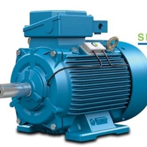 Electric Induction Motor