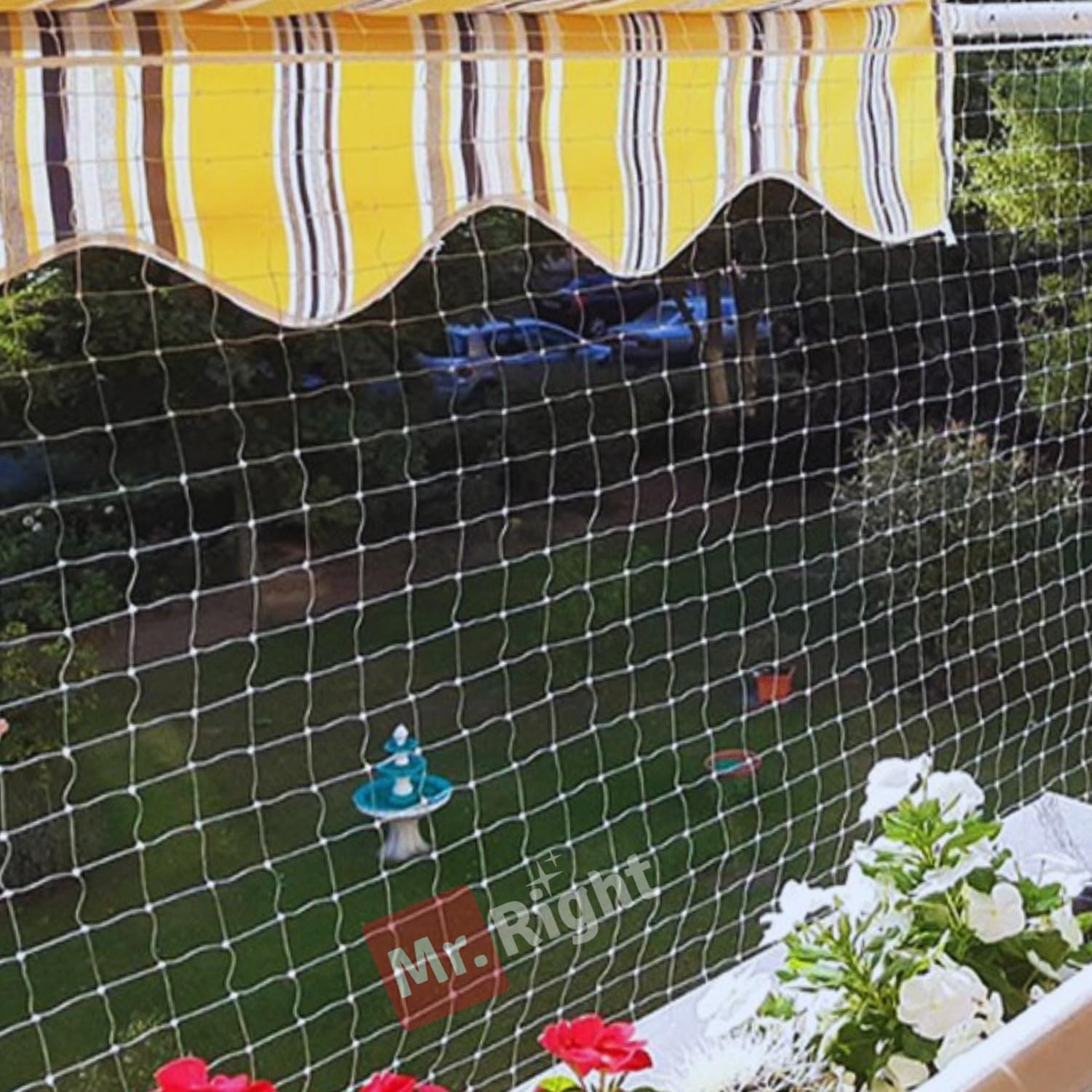 Pigeon Net Installation Service - Application: Birds