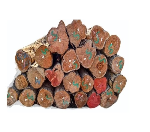Teak Wood Logs
