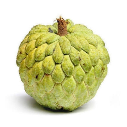 Custard Apple