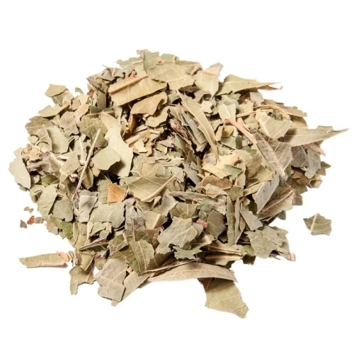 Green Neem Leaves