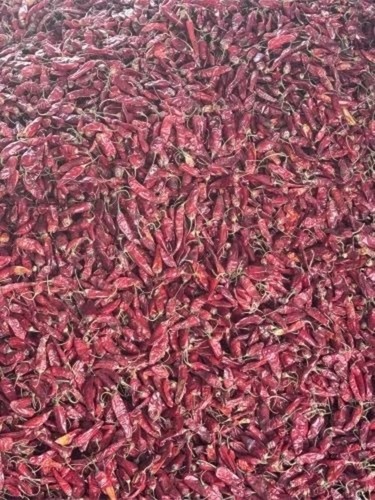 Dhani Dry Red Chilli
