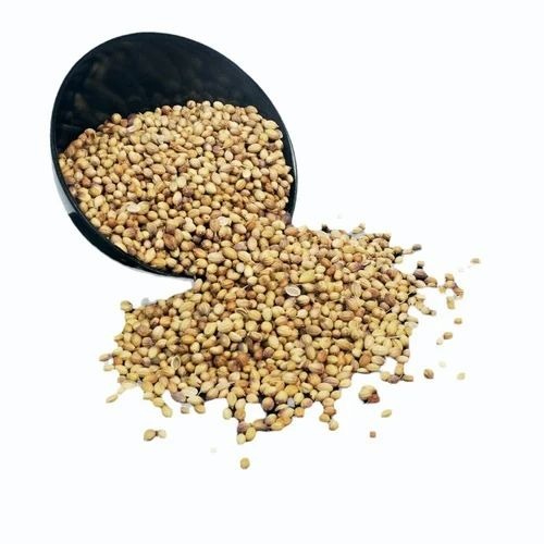 Organic Coriander Seed