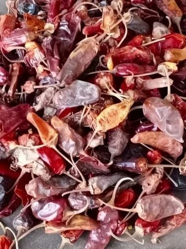 Tepa Fotka Dry Red Chilli