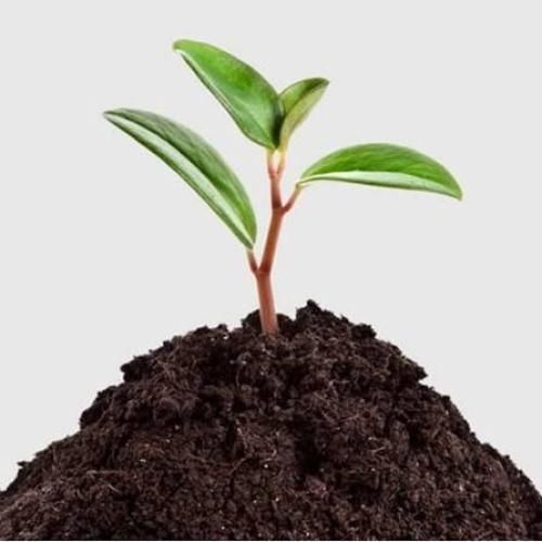 Bio Fertilizer