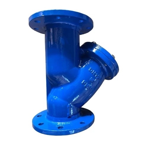 Ci Y Type Strainer