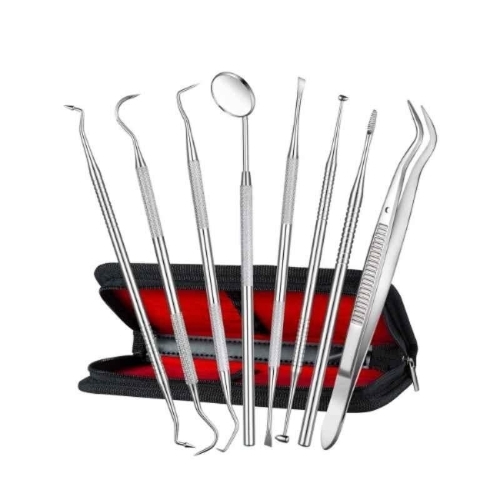 Dental Hygiene Tool Set