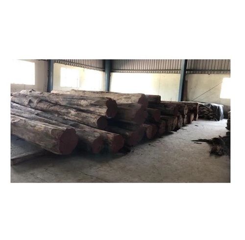 Felix Long Length Teak Wood Logs