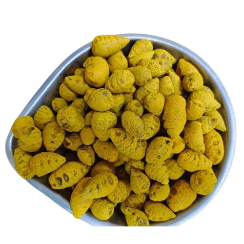Dry Turmeric Bulb